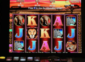 壹号国际app下载电脑免费版